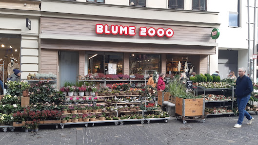 BLUME2000 Halle