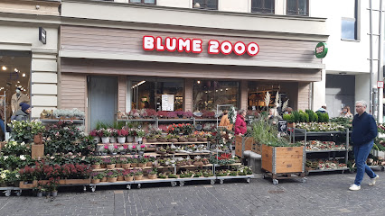 BLUME2000 Halle