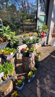 Blumenhaus Südfriedhof