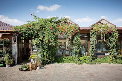 Beyer`s Blumeneck