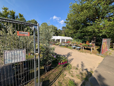 Charly's Pflanzenmarkt