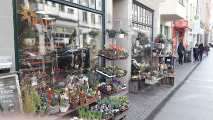 Blumen Raue