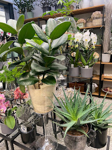 Katrin's Blumen-Shop