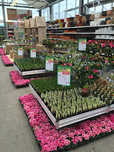 Dehner Garten-Center