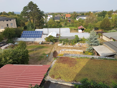 Gartenbau u. Friedhofsgärtnerei F. Büsching