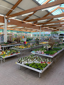 OBI Gartencenter Halle