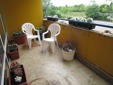 Blumen Meinhardt GmbH