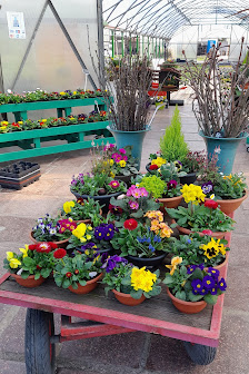 Blumen Meinhardt GmbH