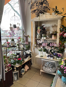 Mille Fleurs
