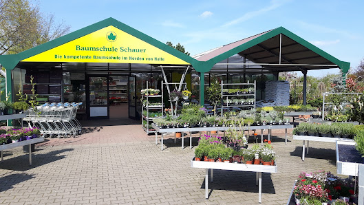 Baumschulen Schauer u. Söhne GbR