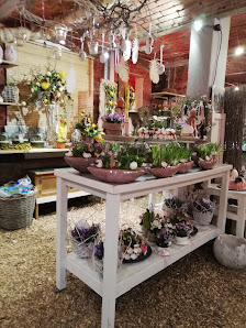 Sunflower Florales und Mehr