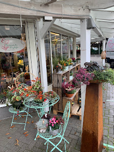 Blumenstudio Meyhöfer