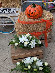 Rosenstolz Floristik&Geschenke
