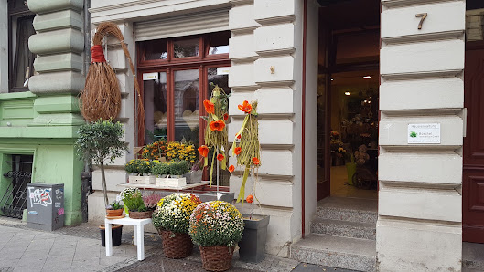 Blumen Pommerenke