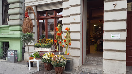 Blumen Pommerenke