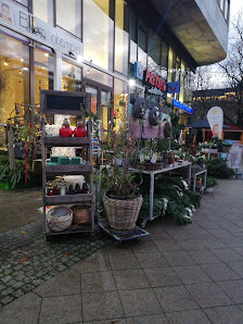 Blumentempel Floristmeisterbetrieb Claudia Bunge