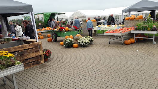 Pflanzenmarkt Hesse