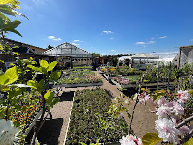Pflanzenmarkt Hesse