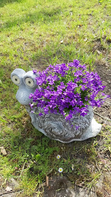 OBI Gartencenter Magdeburg