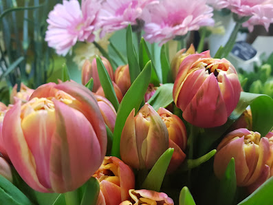 Die Blumenstube Inh. Kathrin Lüdecke