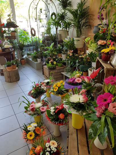 Die Blumenstube Inh. Kathrin Lüdecke