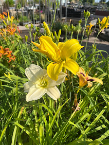 Floragarten Weinreich GmbH & Co. KG