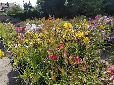 Floragarten Weinreich GmbH & Co. KG