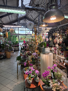 Blumen-Bamme