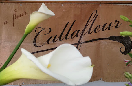Henschke's Blumen-Eck - Callafleur Magdeburg Blumenladen