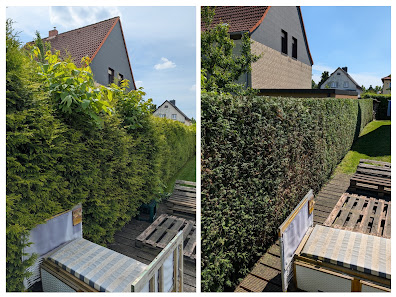 Grünpflege Siersleben