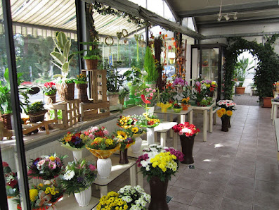 Blumenhaus H. Wolf - Floristik - Gärtnerei - Grabpflege