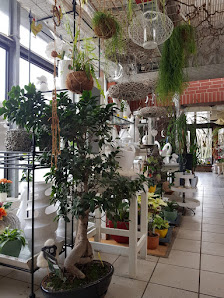 Blumenpavillon Amhoff