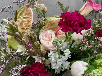 Blumen-Pleuger GmbH