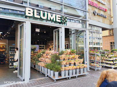 BLUME2000 Freiburg