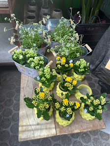 Erlewein Floristik & Dekoration Freiburg