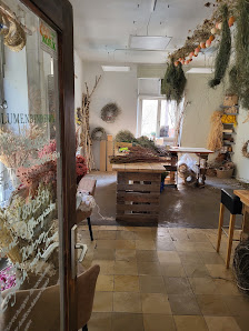 Die Blumenbinderin Kurse / Workshopleiterin Dominique Brübach und ihre NaturWerkstatt