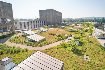 flor design GmbH