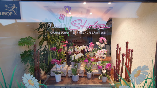 Blumen-Stirba GbR. Blumen mit Sti(e)l