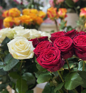 Tolo - Blumenboutique Freiburg