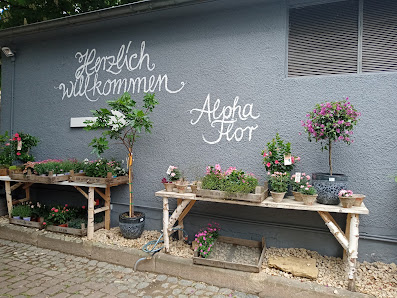 AlphaFlor - Blumen und Pflanzenkultur Freiburg