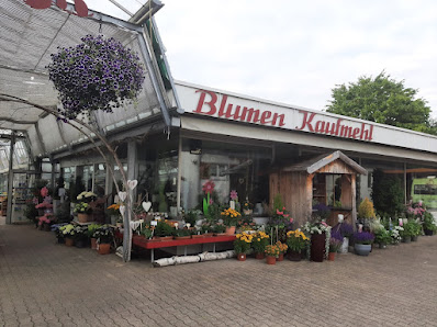 Manfred Kaufmehl Blumen