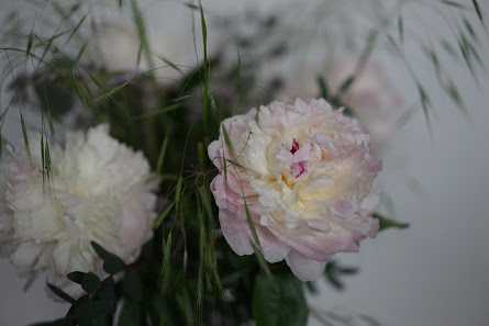Blumen Bläsi