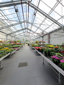 Gärtnerei Kech - Blumen und Garten