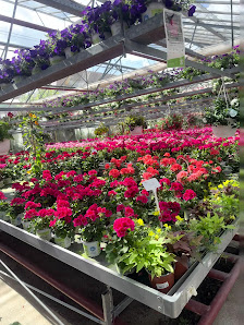 Gartencenter Schmitt