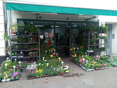 Blumenladen in Kreuzberg