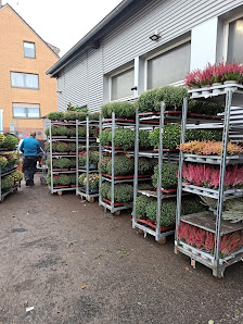 BlumenMarkt Rene de Clercq
