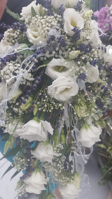 Blumen Vossenkaul Aachen