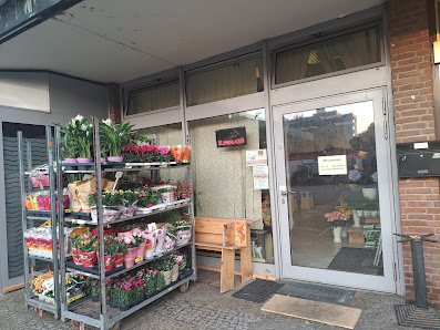 Blumen & Pflanzen