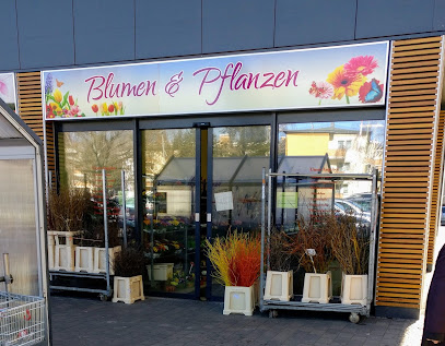 Blumen & Pflanzen