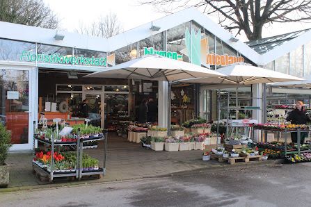 Blumen Nicolaye